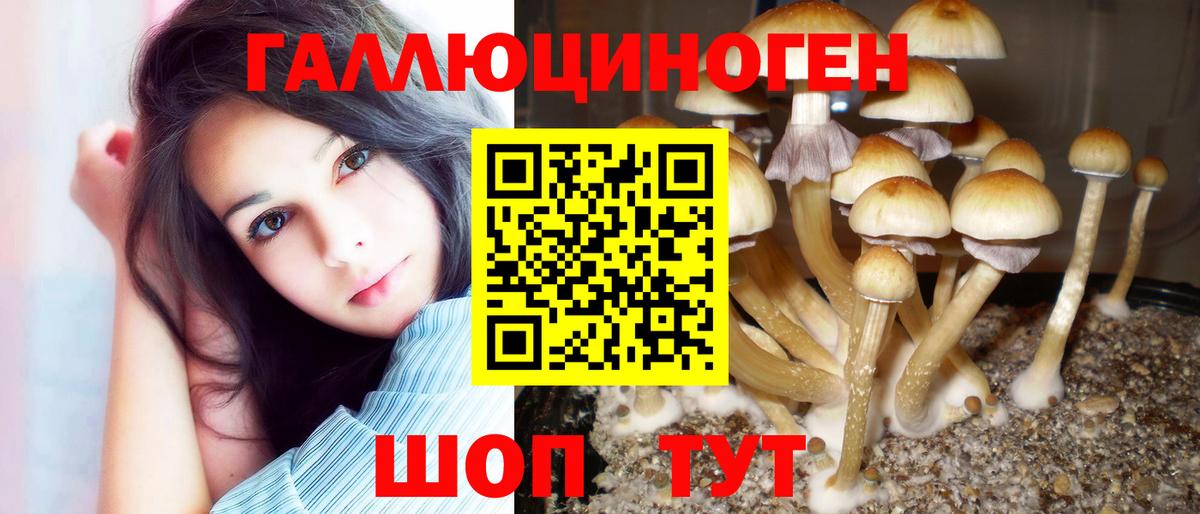 Псилоцибиновые грибы ЛСД Касимов